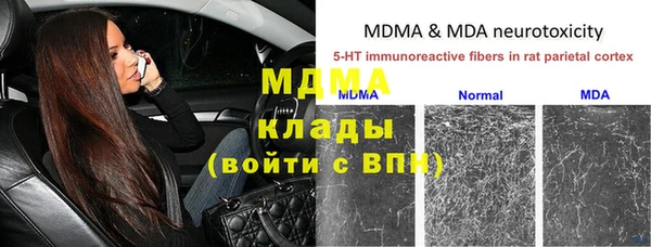 молекула духа Алзамай