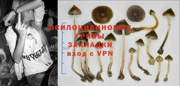 молекула духа Алзамай