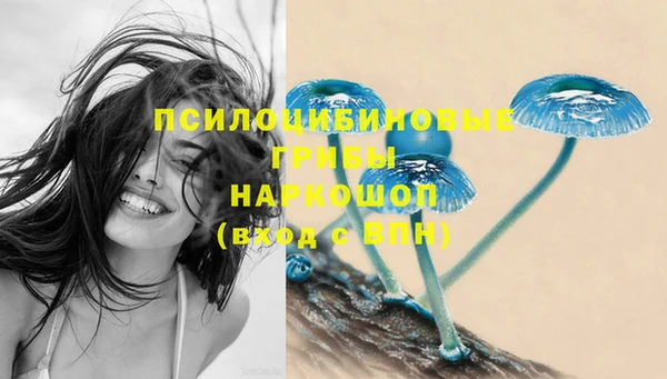 молекула духа Алзамай